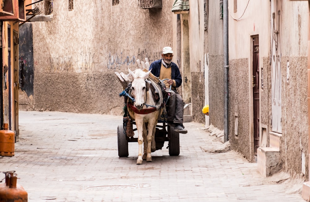 Hombre en chaqueta negra montando en caballo marrón durante el día