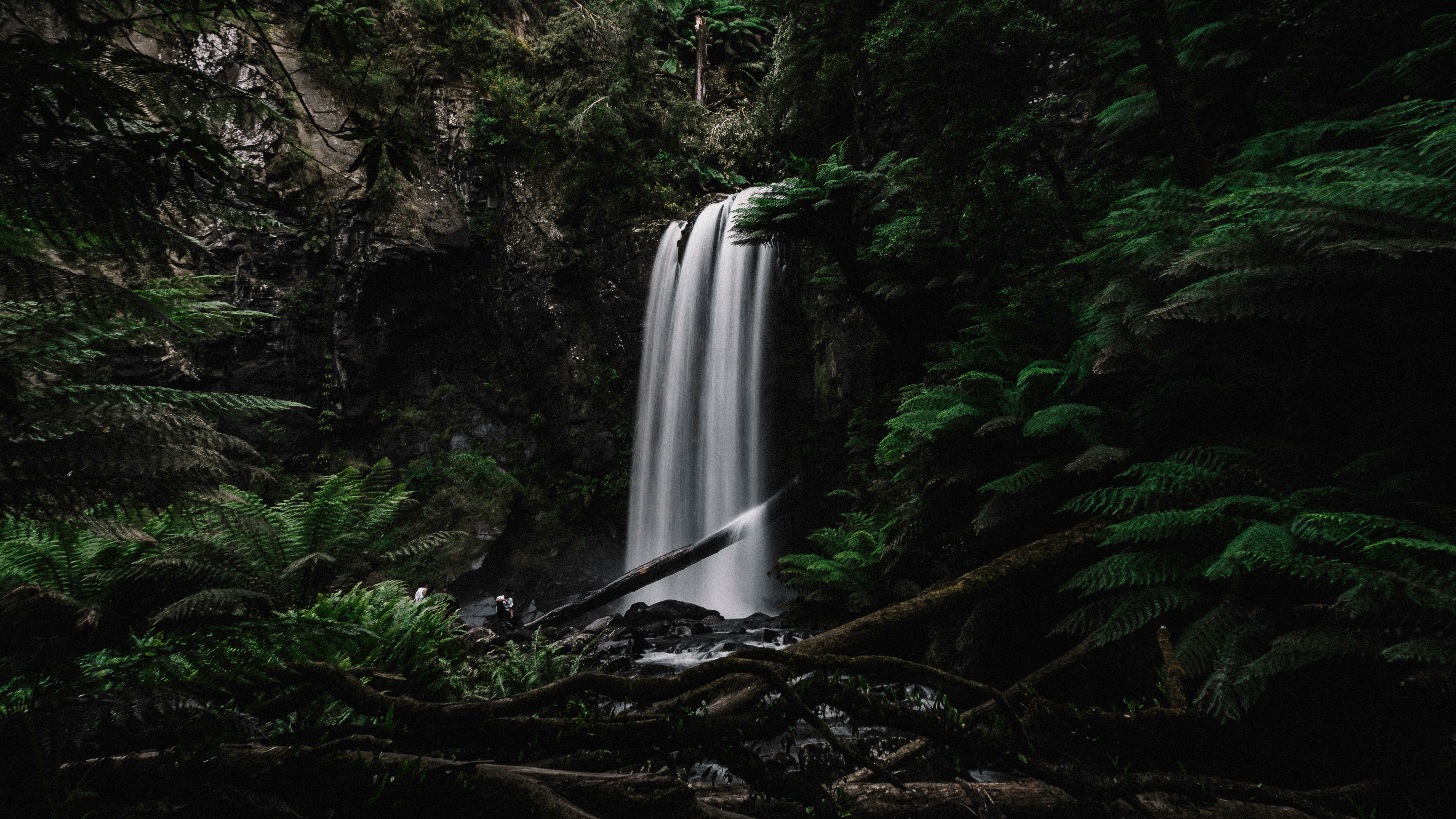 waterfalls in the middle of the forest