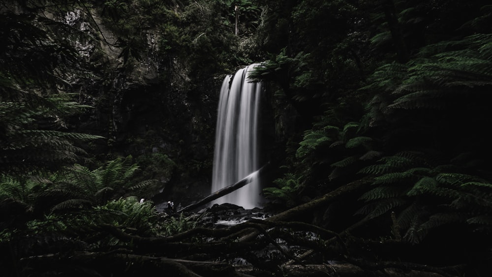 waterfalls in the middle of the forest