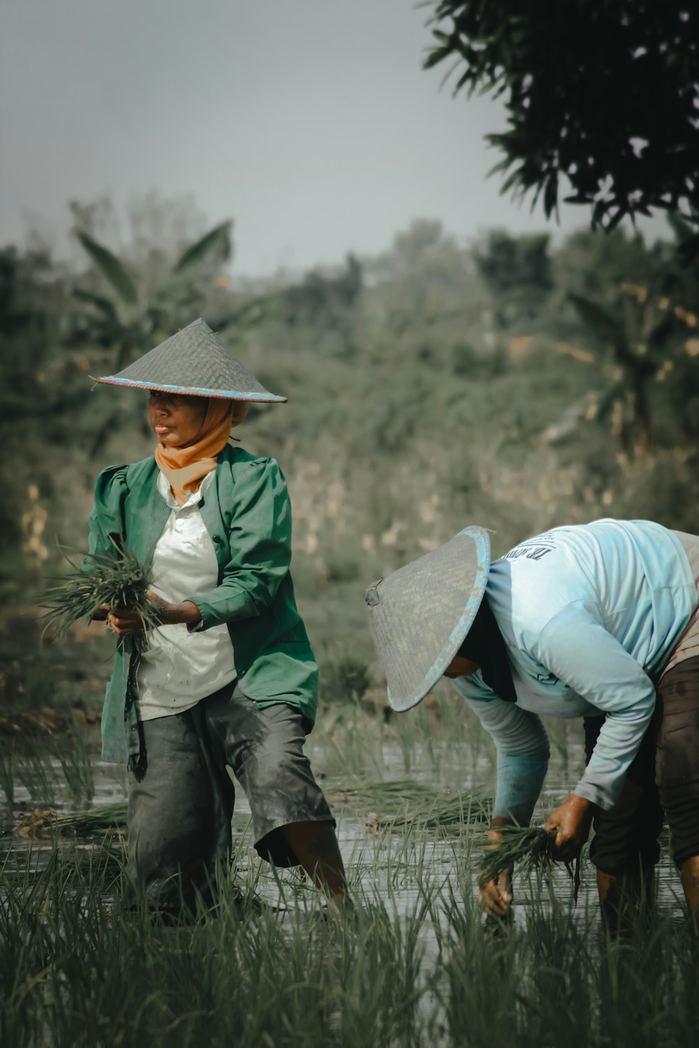 man in white long sleeve shirt and black pants holding green plant