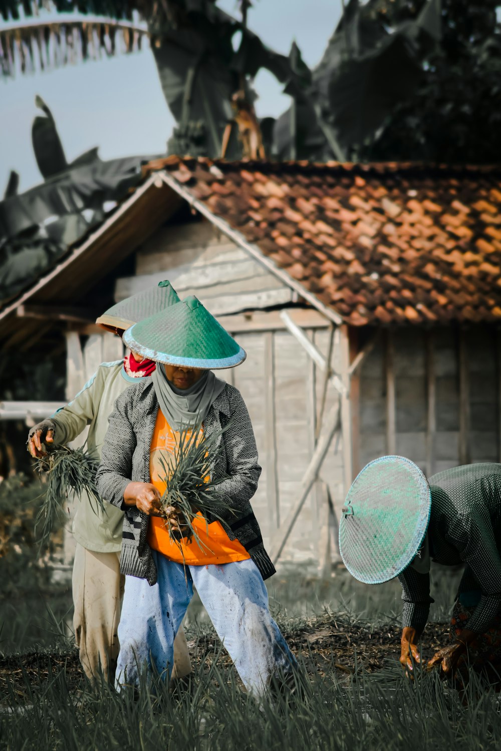 woman in white long sleeve shirt and green hat holding orange fruit