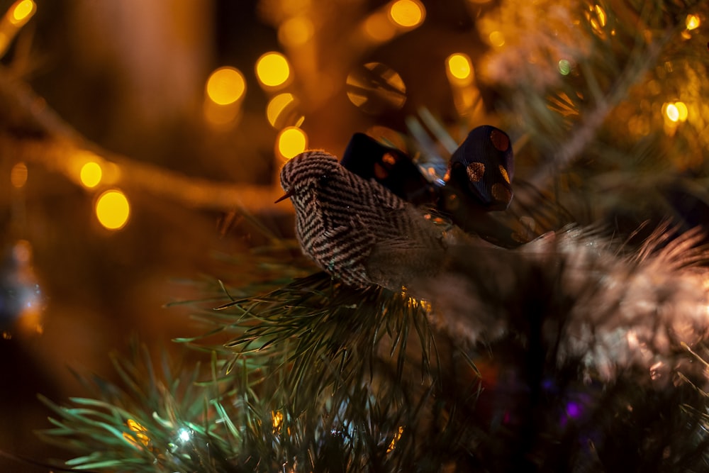 Árbol de Navidad verde con luces de cadena