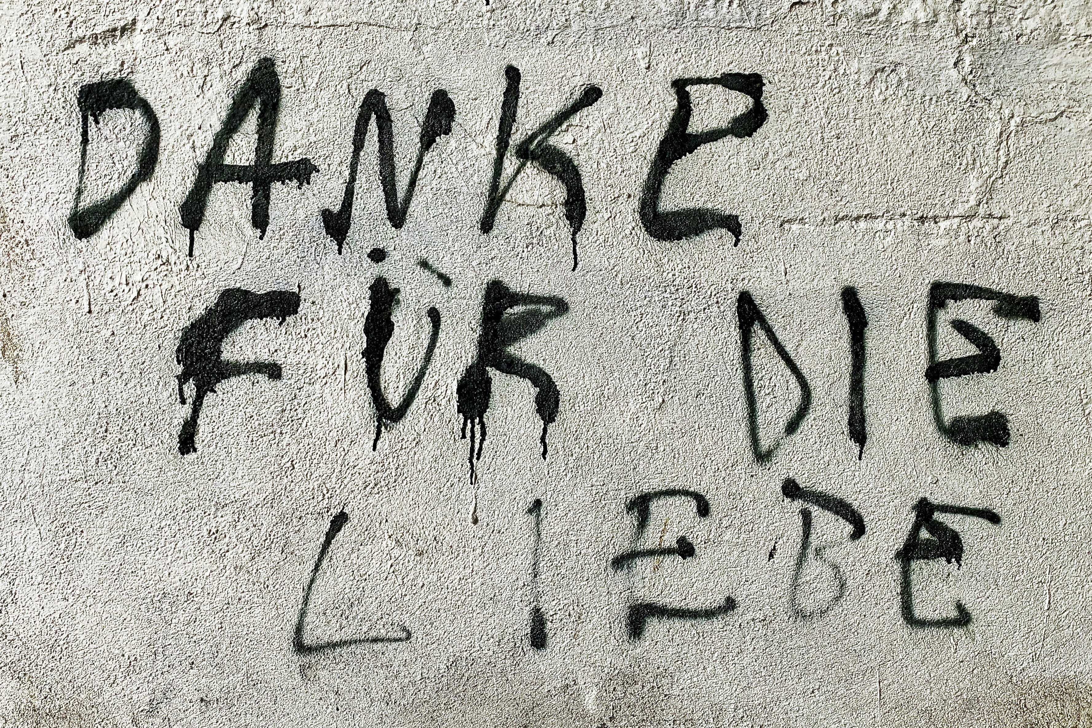 photo-1610450926776-e6e44b76990c?ixid=M3wxMjA3fDB8MXxzZWFyY2h8MTl8fHVmYWJldHxlbnwwfHx8fDE3NTQwNTUzMTF8MA\u0026ixlib=rb-4.1.0