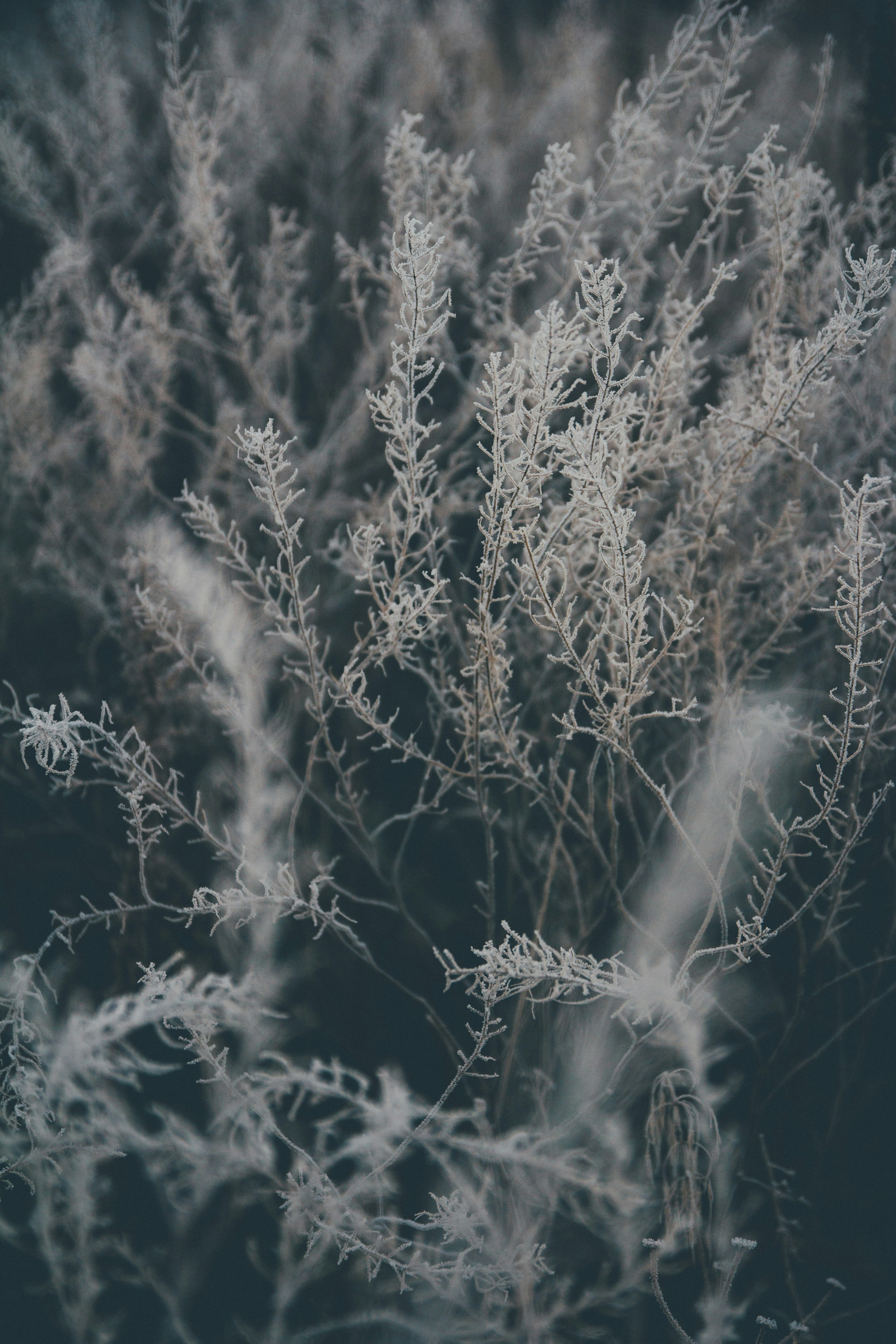 Photo by onmywayhome