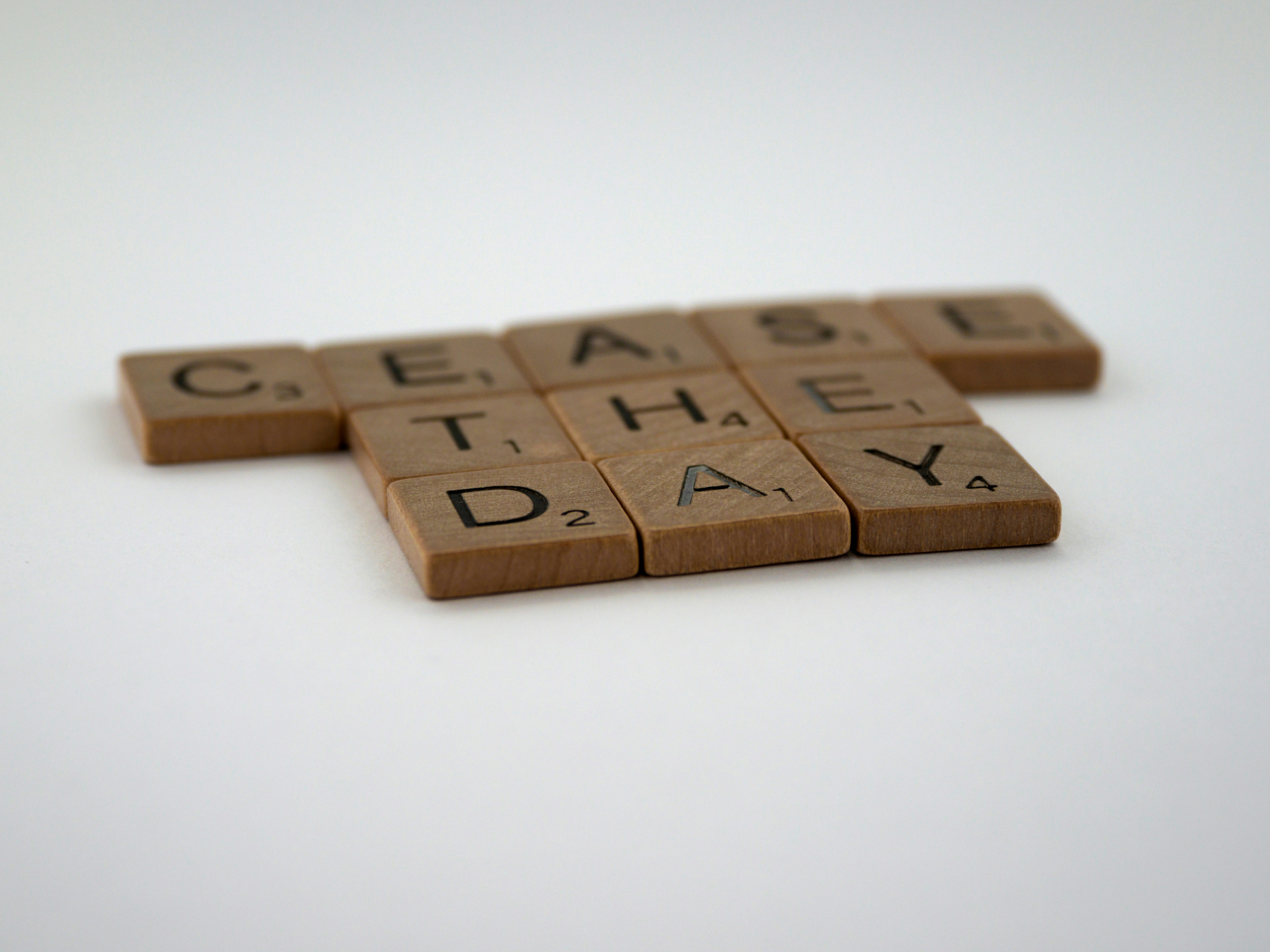 scrabble, scrabble pieces, lettering, letters, wood, scrabble tiles, white background, words, quote, letters, type, typography, design, layout, cease the day, seize the day, carpe diem, Cessare faciam hodie, night, goth, gothic, humour, homonym, homonymic, 