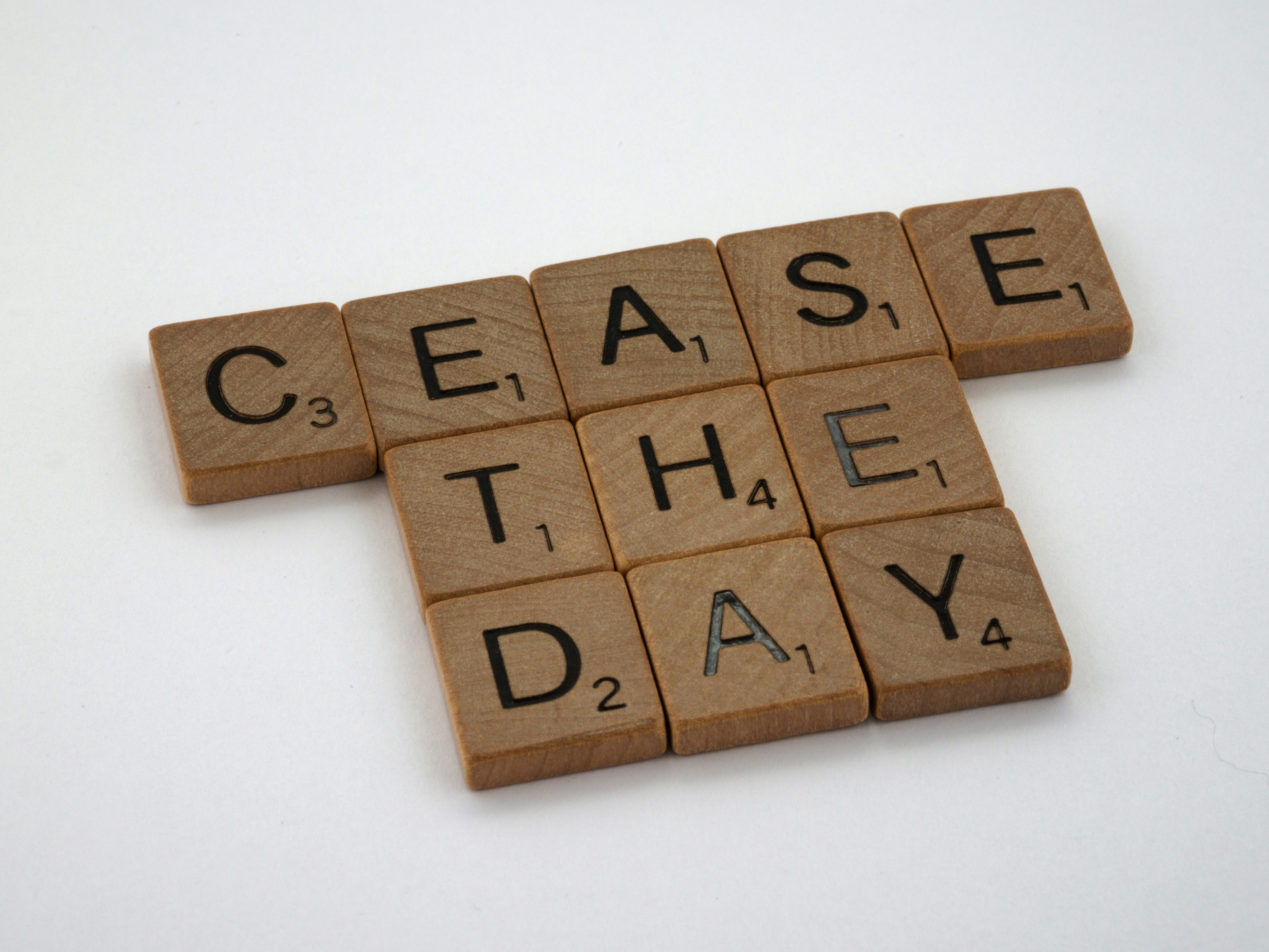 scrabble, scrabble pieces, lettering, letters, wood, scrabble tiles, white background, words, quote, letters, type, typography, design, layout, cease the day, seize the day, carpe diem, Cessare faciam hodie, night, goth, gothic, humour, homonym, homonymic, 