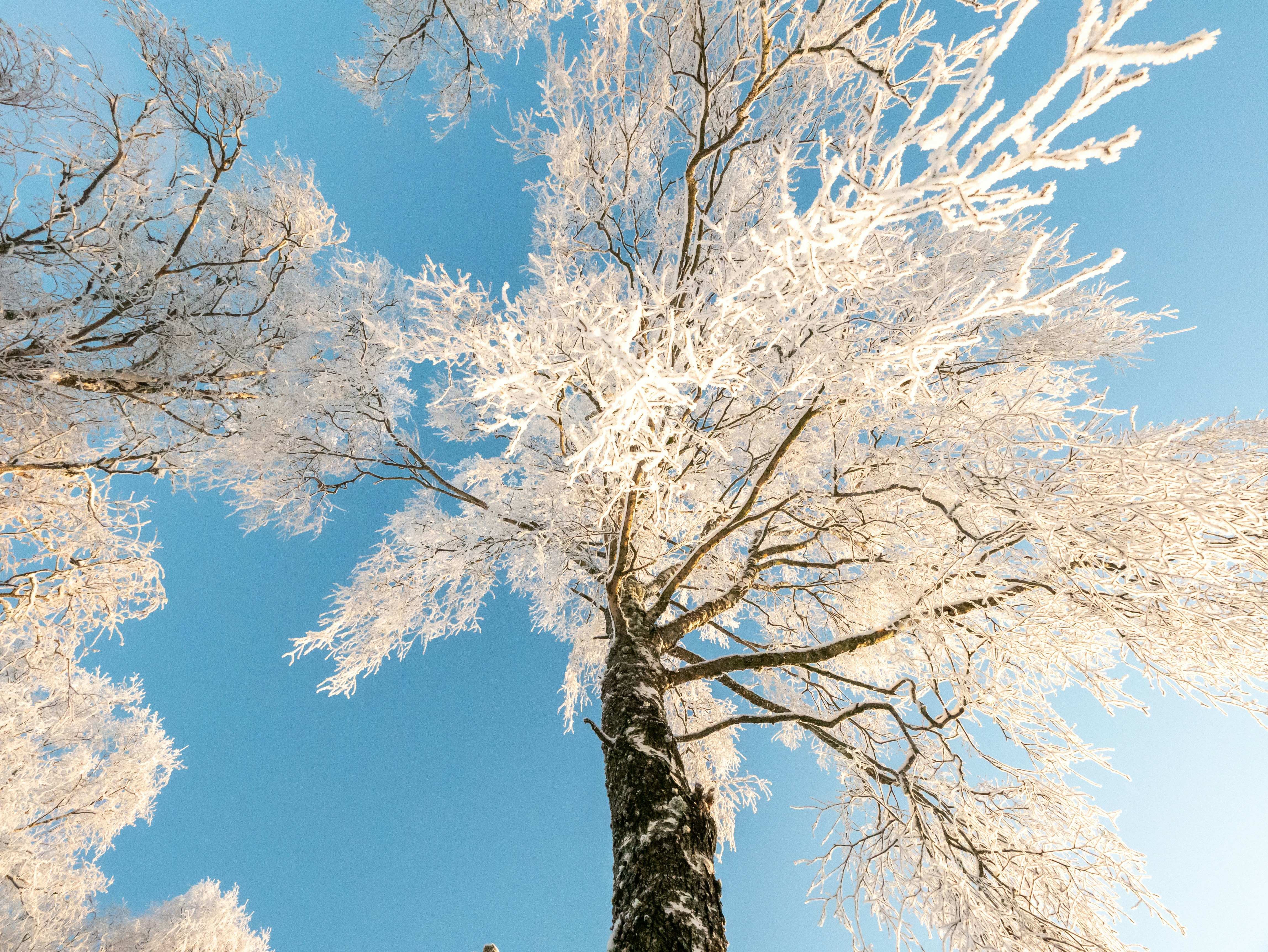 Photo by stripemedia