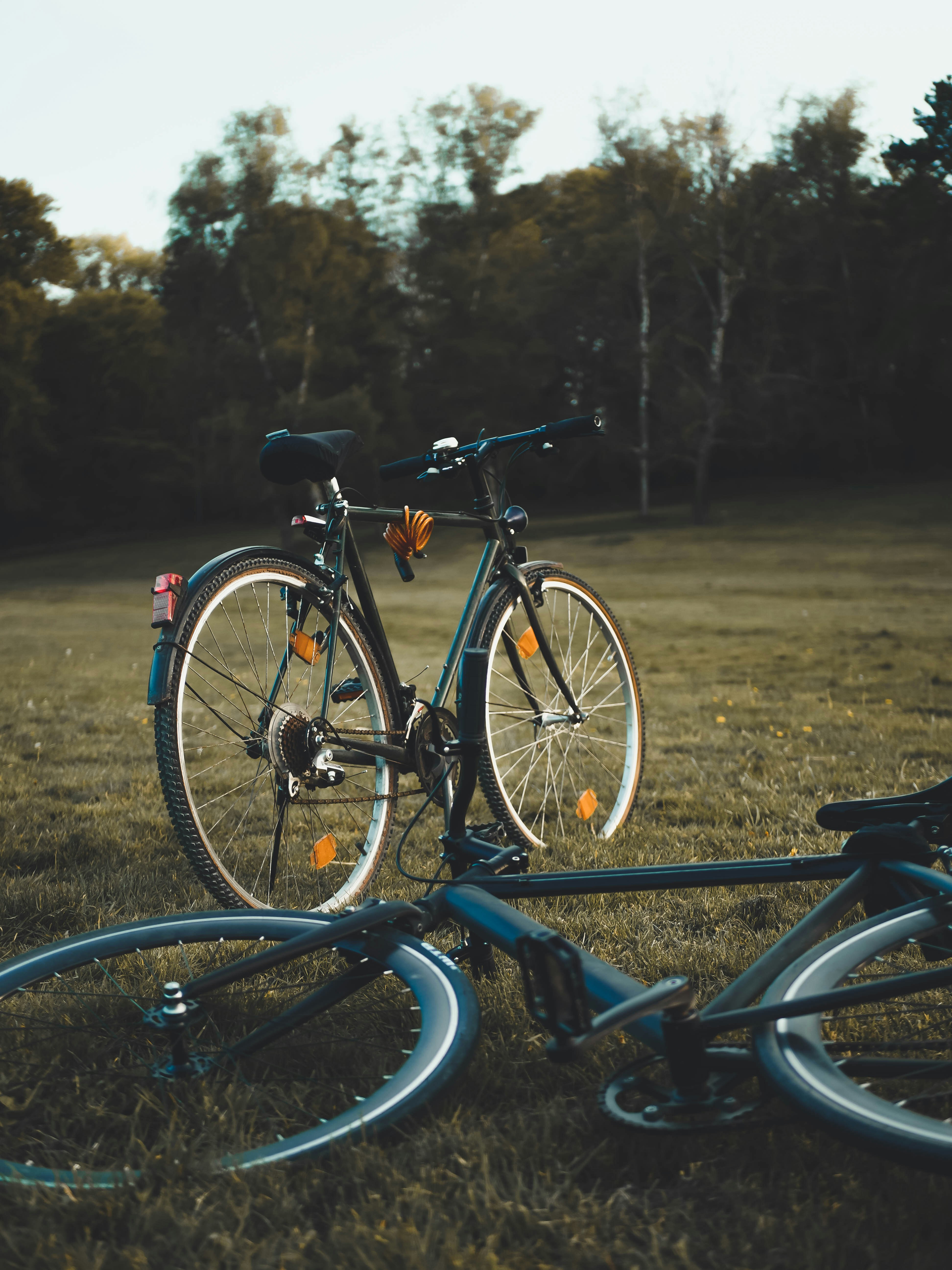 Blue and black bicycle on brown field during daytime photo – Free Bikes  Image on Unsplash, image size:3000x4000