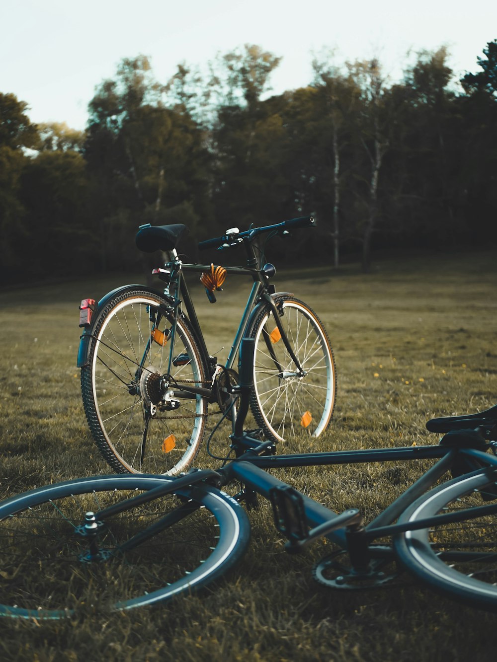 blue and black bicycle on brown field during daytime