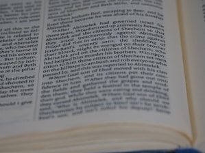 A close-up view of an open book depicting printed text. The text is focused and provides detailed information on a page, with some words slightly blurred due to the depth of field.