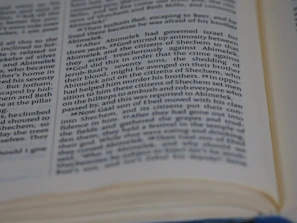 Close-up of an open PDF catalog page filled with detailed product information.