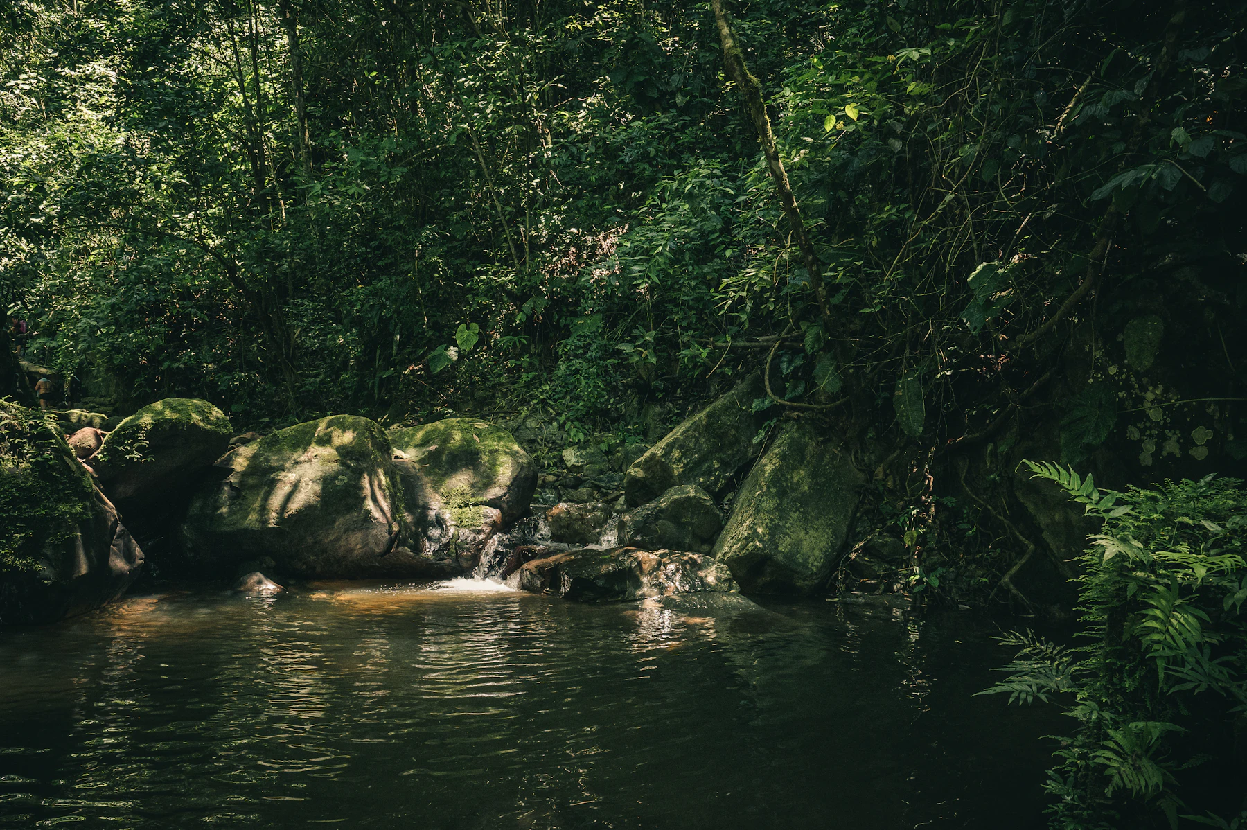 River running through the Amazon rainforest