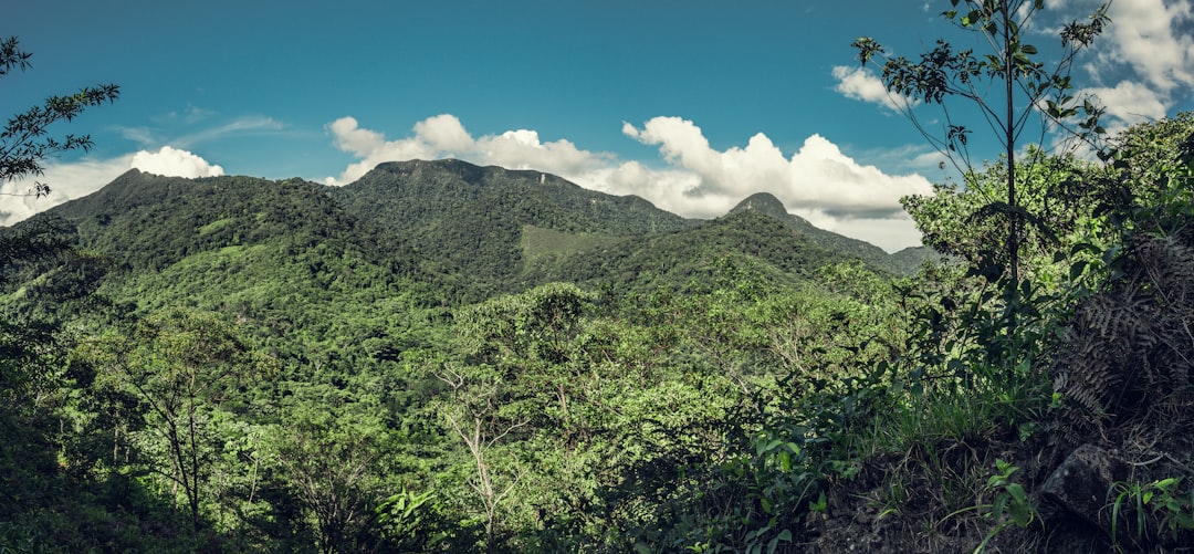 green mountain under blue sky during daytime