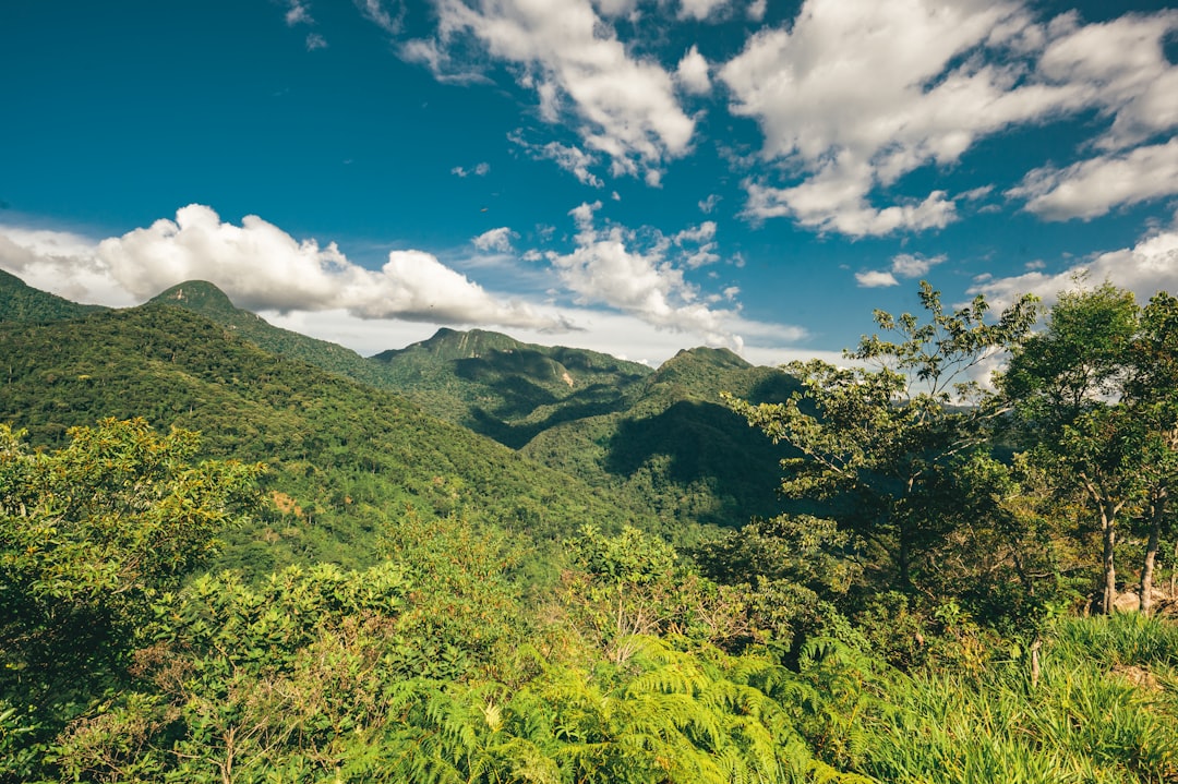 green mountains under blue sky and white clouds during daytime