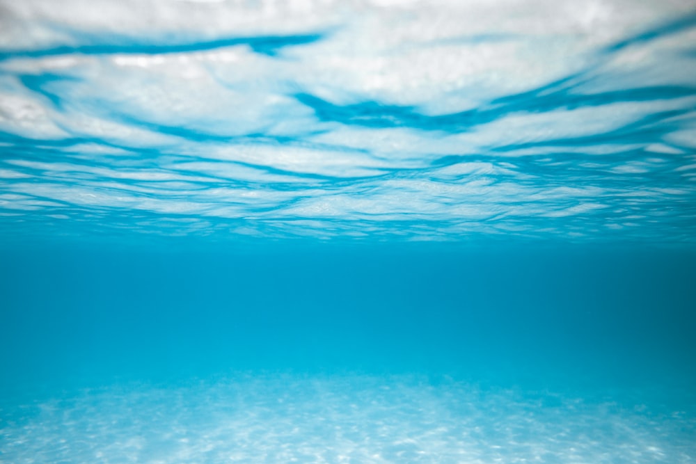Hình nền dưới nước với đầy đủ các màu sắc rực rỡ của đại dương sẽ khiến bạn cảm thấy thư giãn và không khí trong lành. Những hình ảnh này đưa bạn vào thế giới đầy màu sắc và tinh khiết.
