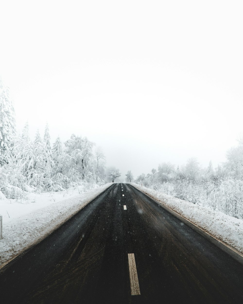 black asphalt road between snow covered trees during daytime