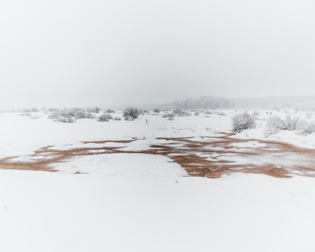 white snow covered field during daytime