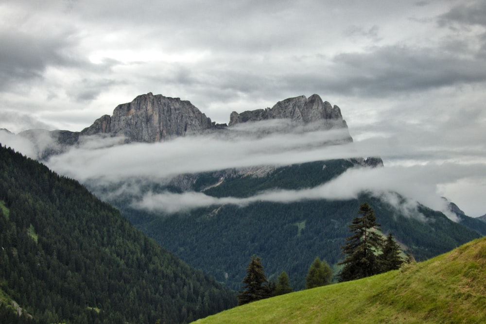 green trees on mountain under white clouds during daytime