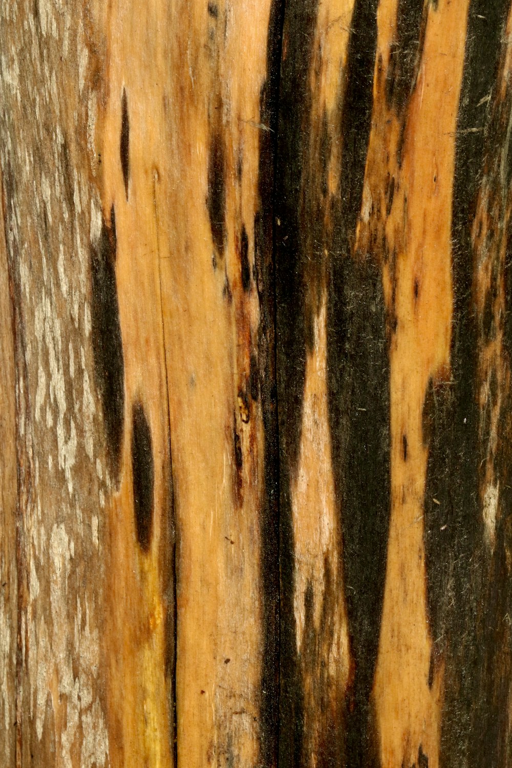 brown and black wooden surface