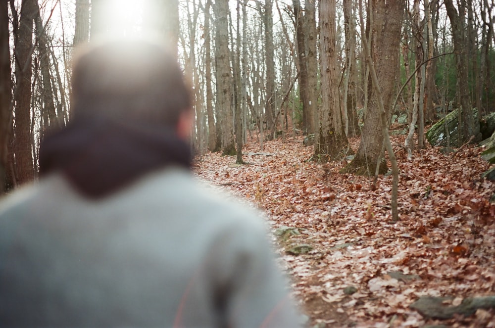 man in gray hoodie standing in forest during daytime