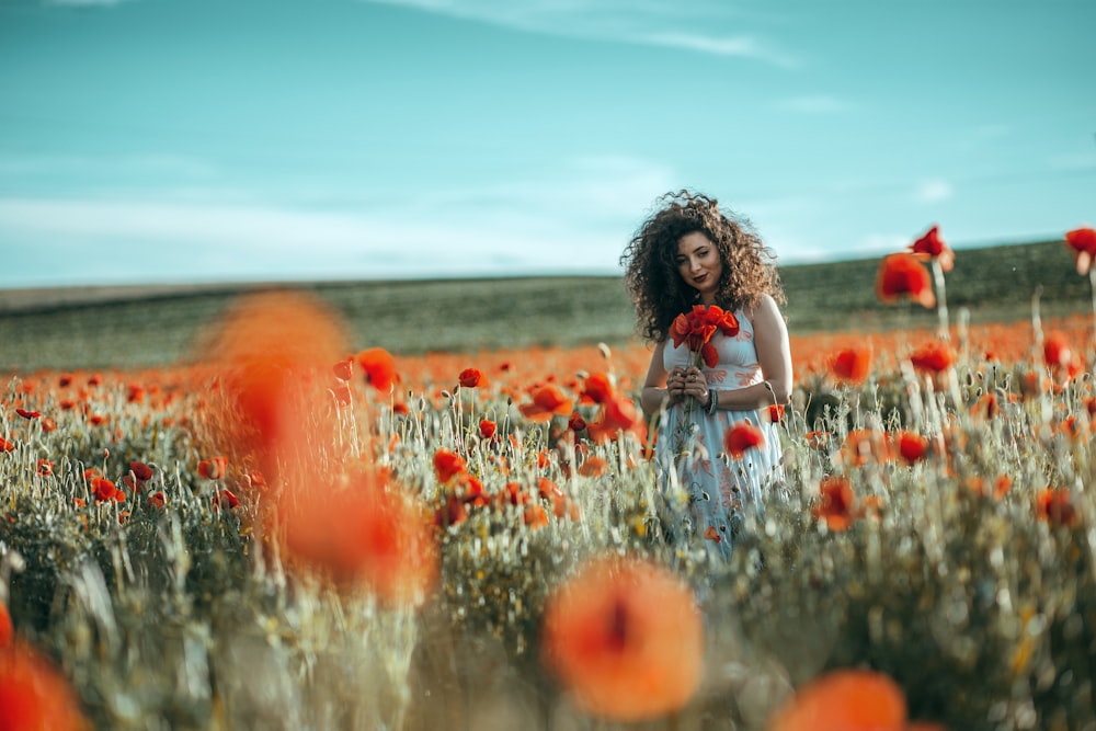 menina na camisa branca sentada no campo da flor vermelha durante o dia