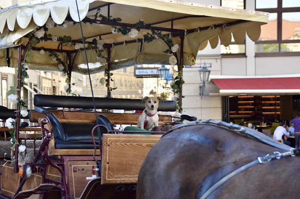 Photo 1610464578851 5304b69c3976?q=85&w=584&h=438&fit=crop