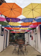 Vibrant seaside guinguette decorated with local murals, lively open kitchen and joyful diners under a sunny sky.