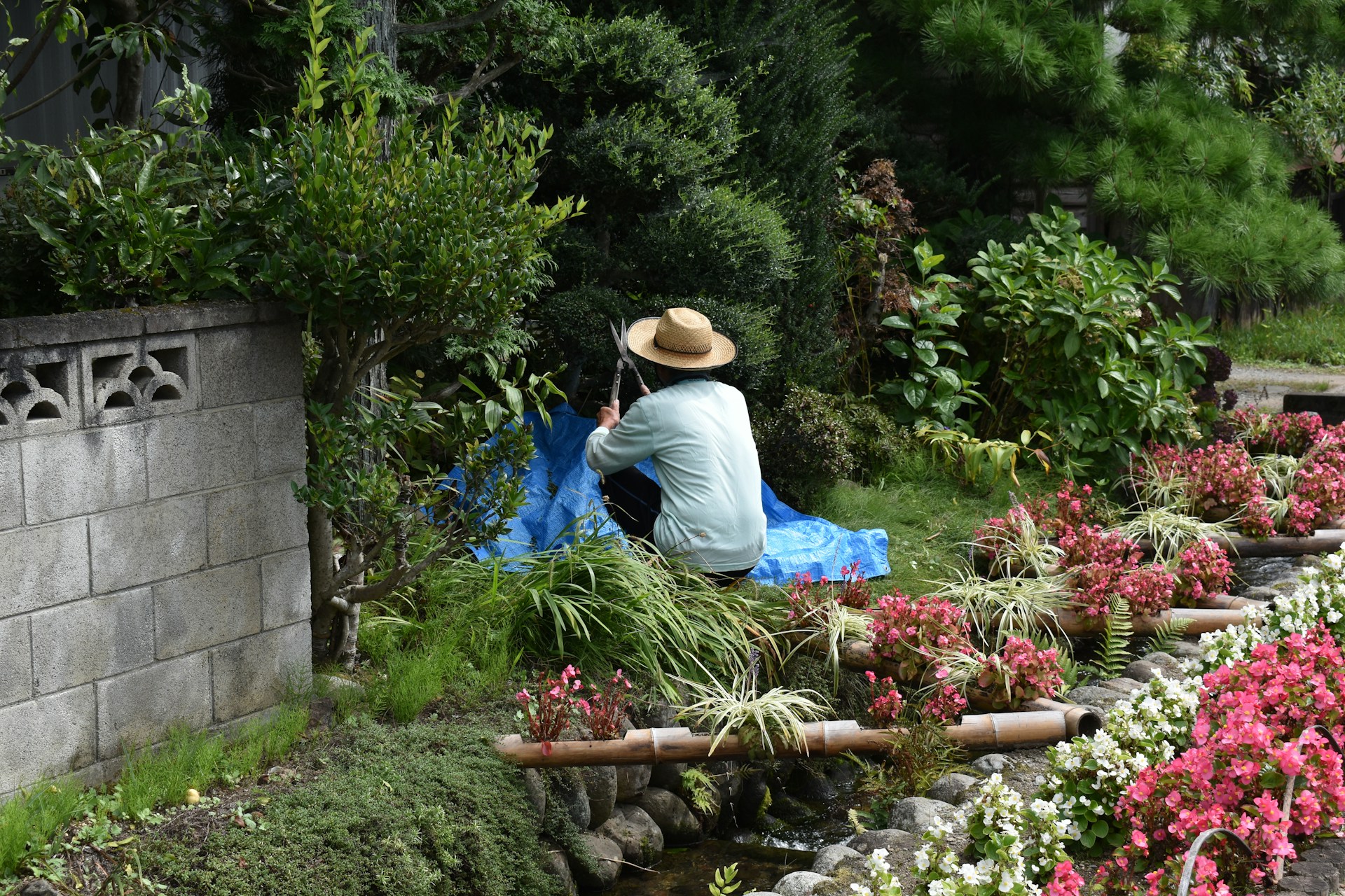 woman in blue shirt and brown hat sitting on green grass field