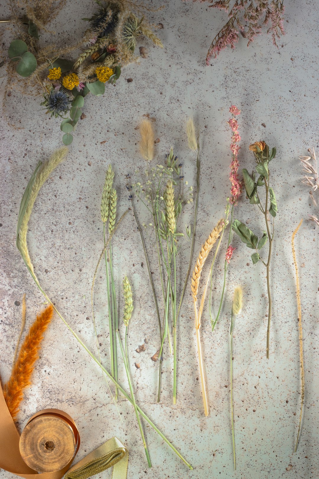 green and orange plant on white sand