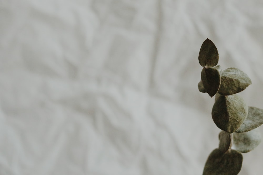 black stones on white textile