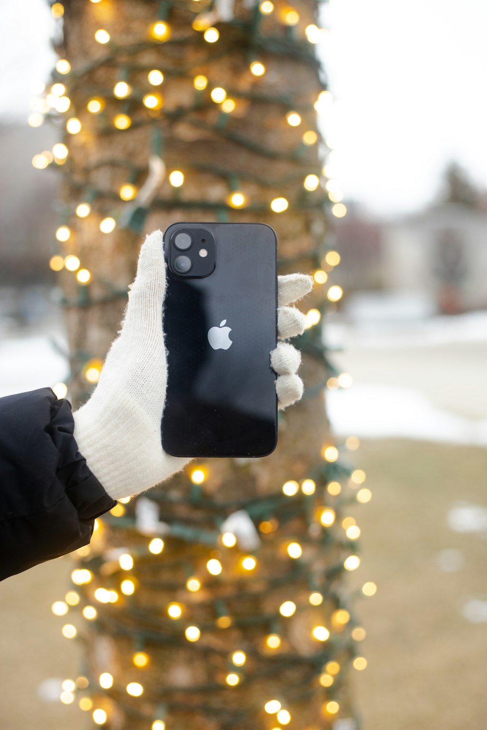 person holding black iphone 7 plus