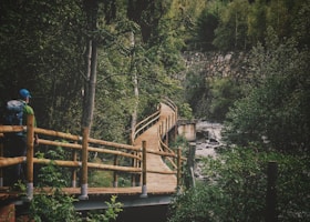 brown wooden bridge over river