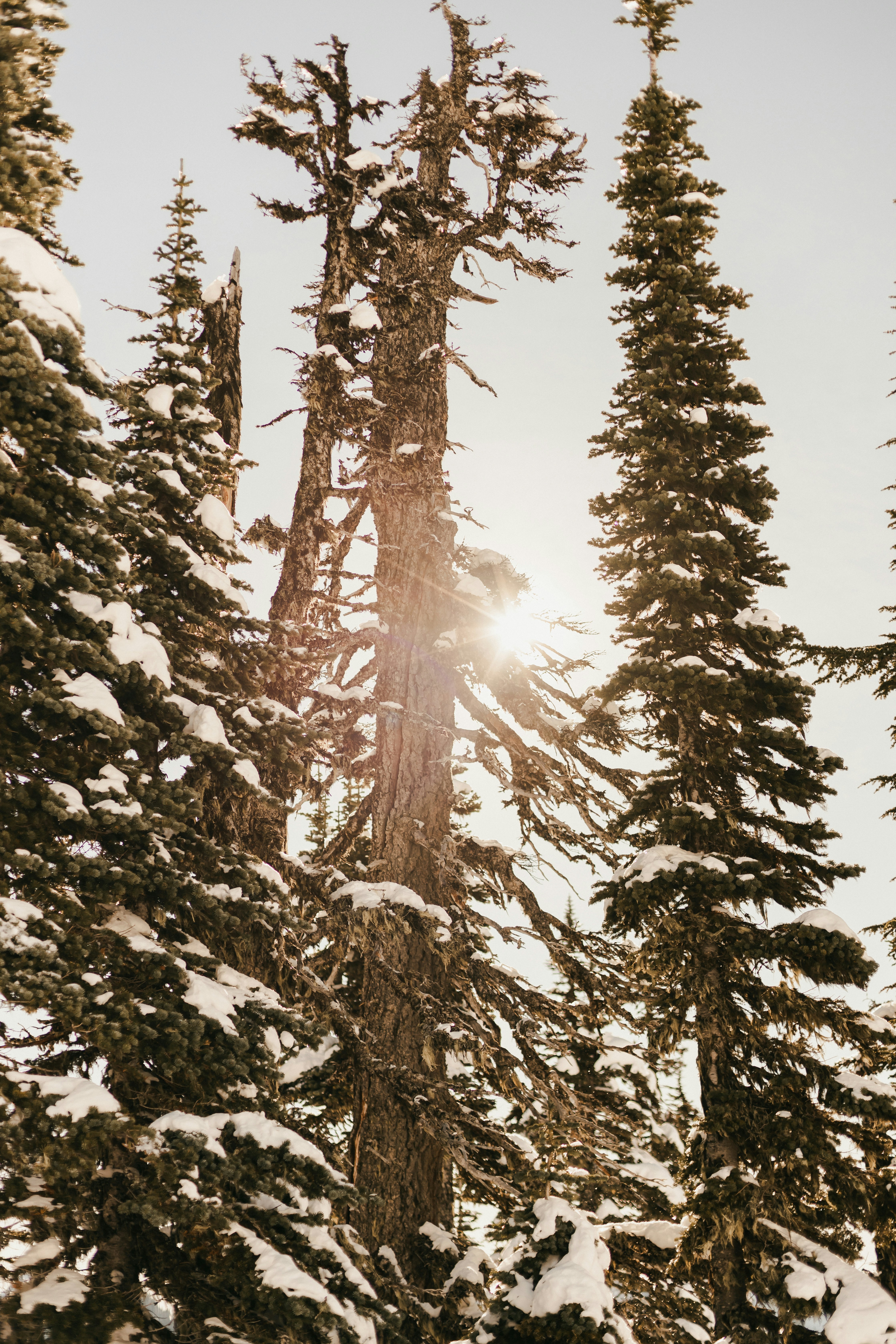 Photo by diofagundes