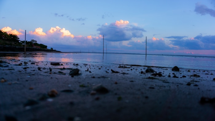 A serene coastal landscape captured during sunset, showcasing the calm water reflecting the soft hues of the sky. The shoreline is adorned with small pebbles and scattered fragments of natural debris. In the distance, fluffy clouds are illuminated with a warm, golden light against a backdrop of pastel blues and purples. Sparse tall poles stand in the water, adding an element of vertical interest to the composition.