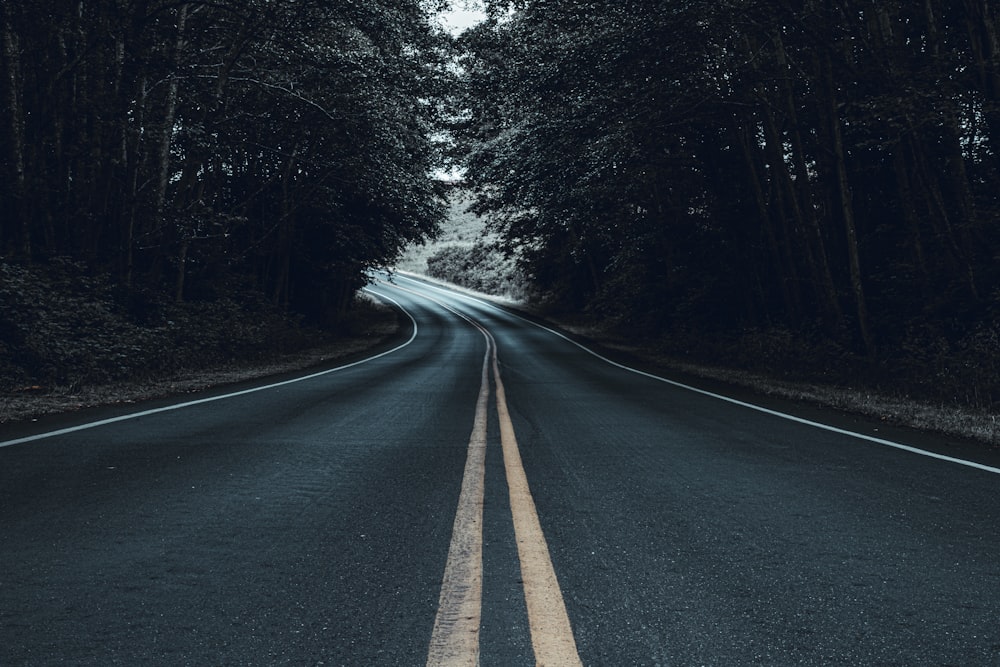 black asphalt road between trees during daytime