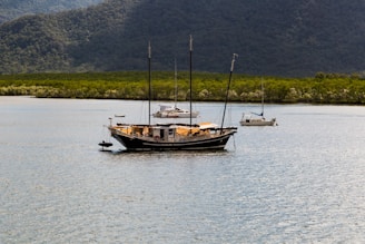 A serene view of a luxurious boat anchored on calm water surrounded by lush greenery.