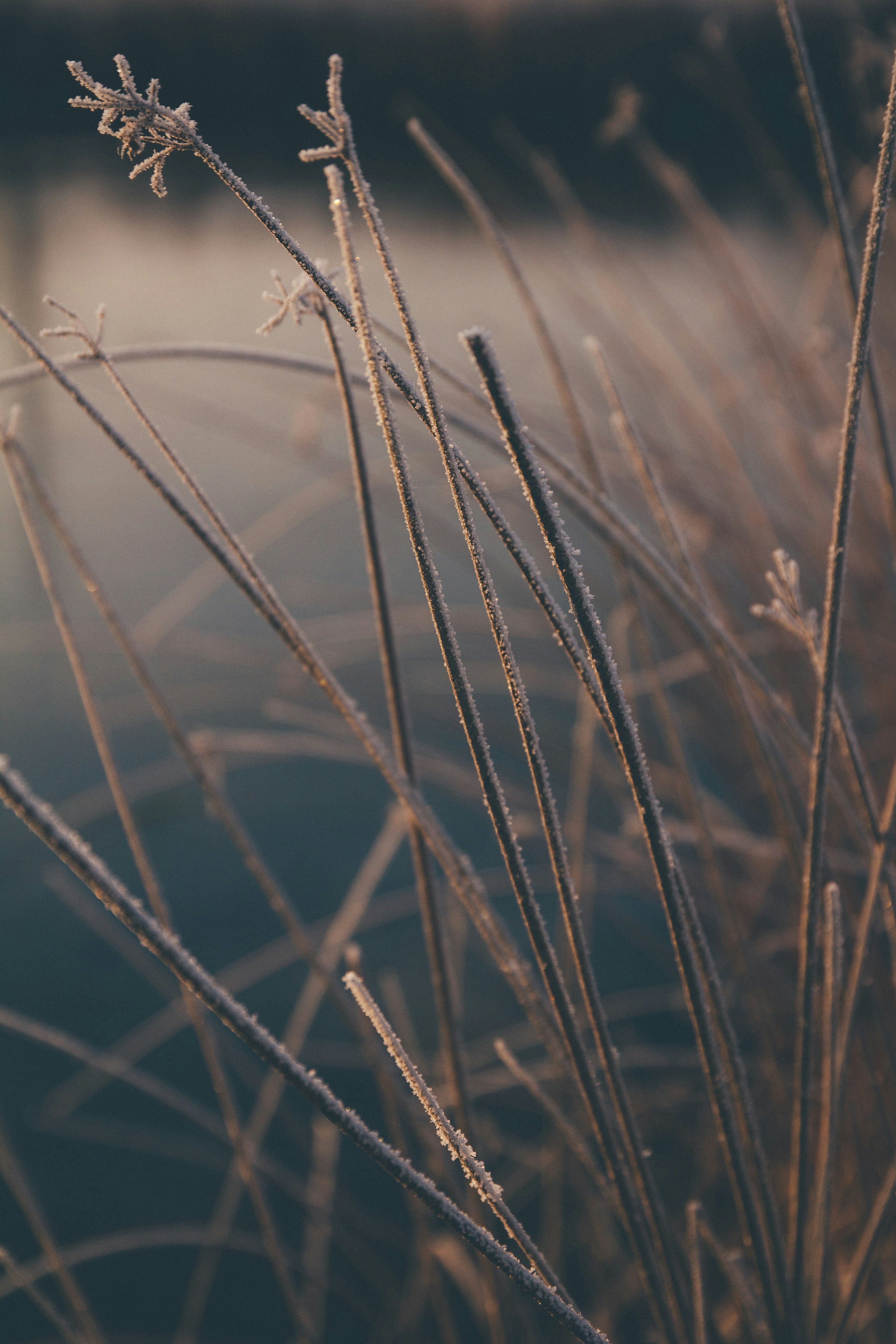 Photo by onmywayhome