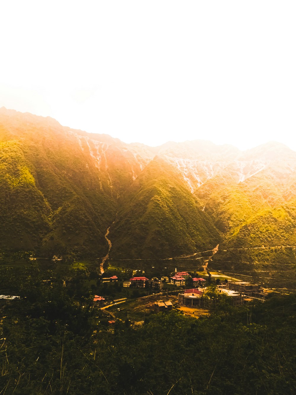 green trees on mountain during daytime