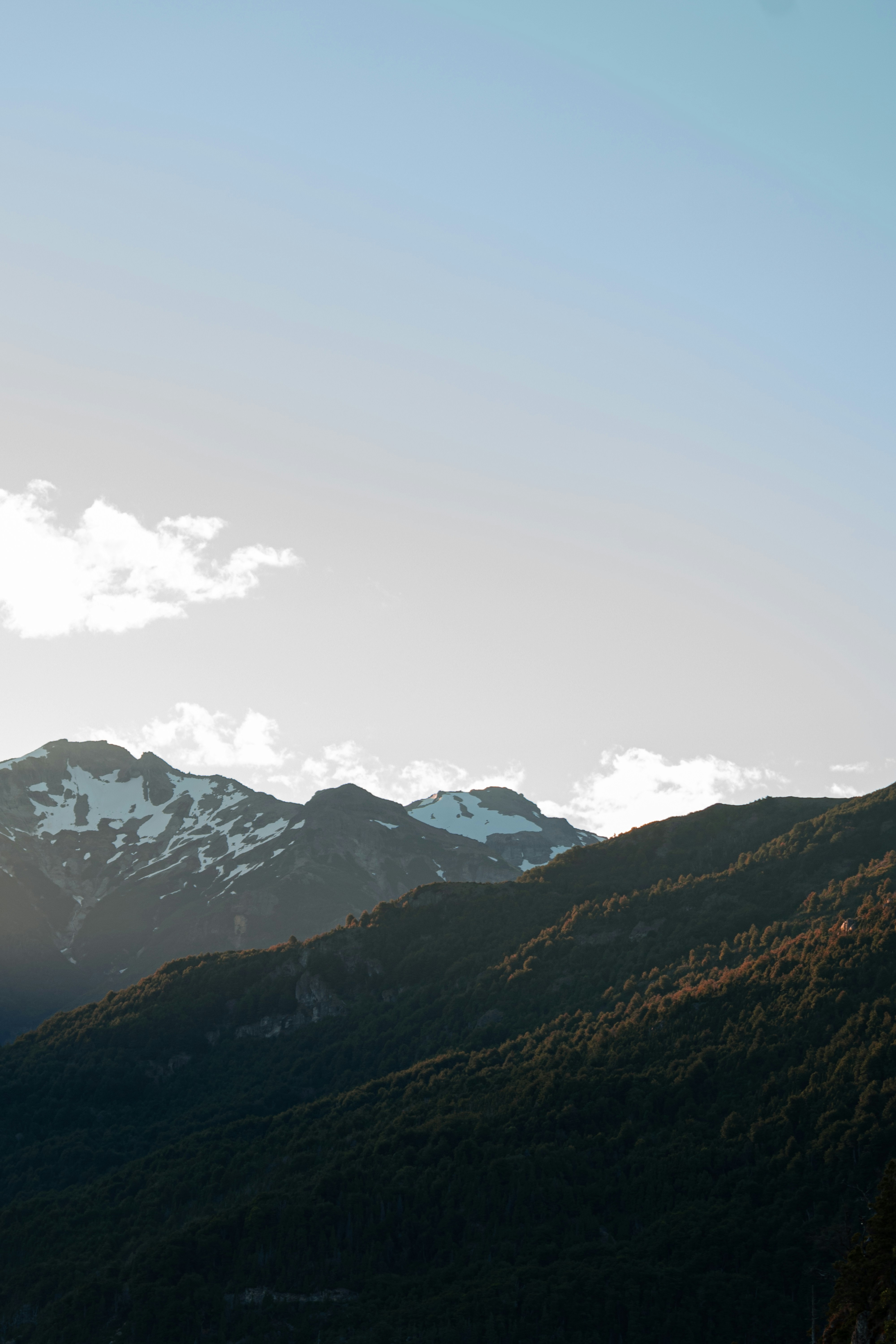 Photo by williamsiann