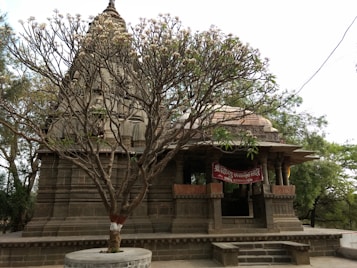 An intricately designed stone temple with ornate carvings and a conical spire stands amidst lush green foliage. In the foreground, a flowering tree with a rough bark slightly obscures the view of the temple entrance. The entrance is framed by columns and a red banner with script in an Indian language hangs above it. The surrounding area is serene with paved pathways.