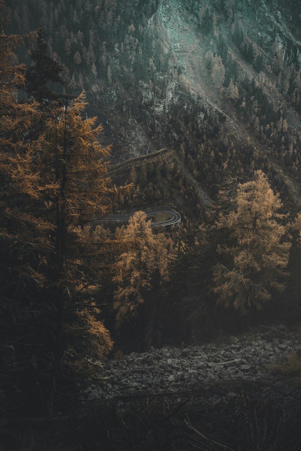 green pine trees on mountain during daytime