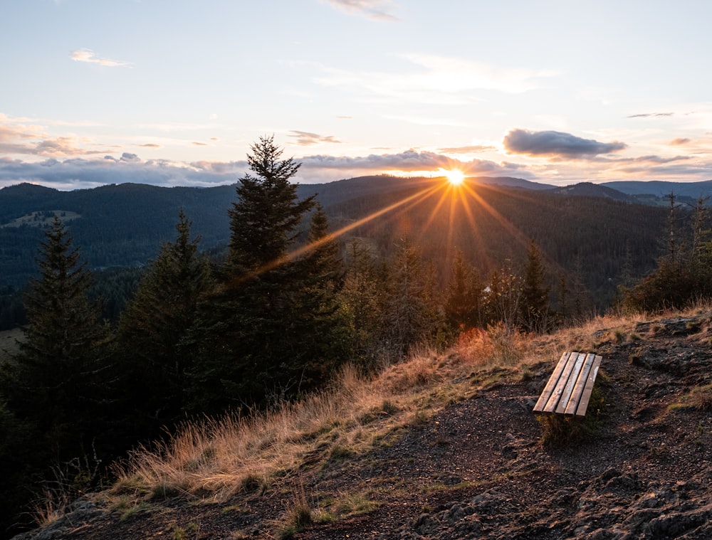 brown wooden bench on brown grass field during daytime