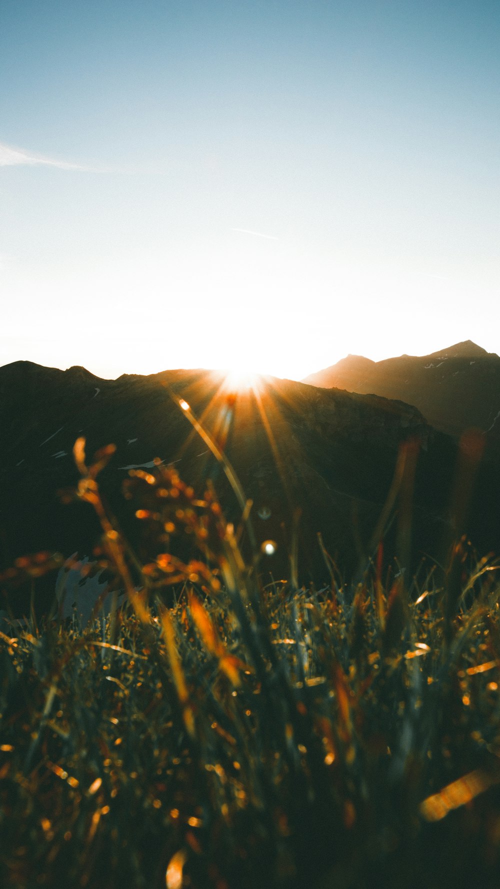 Morning Sun Pictures [HQ] | Download Free Images & Stock Photos on ...
