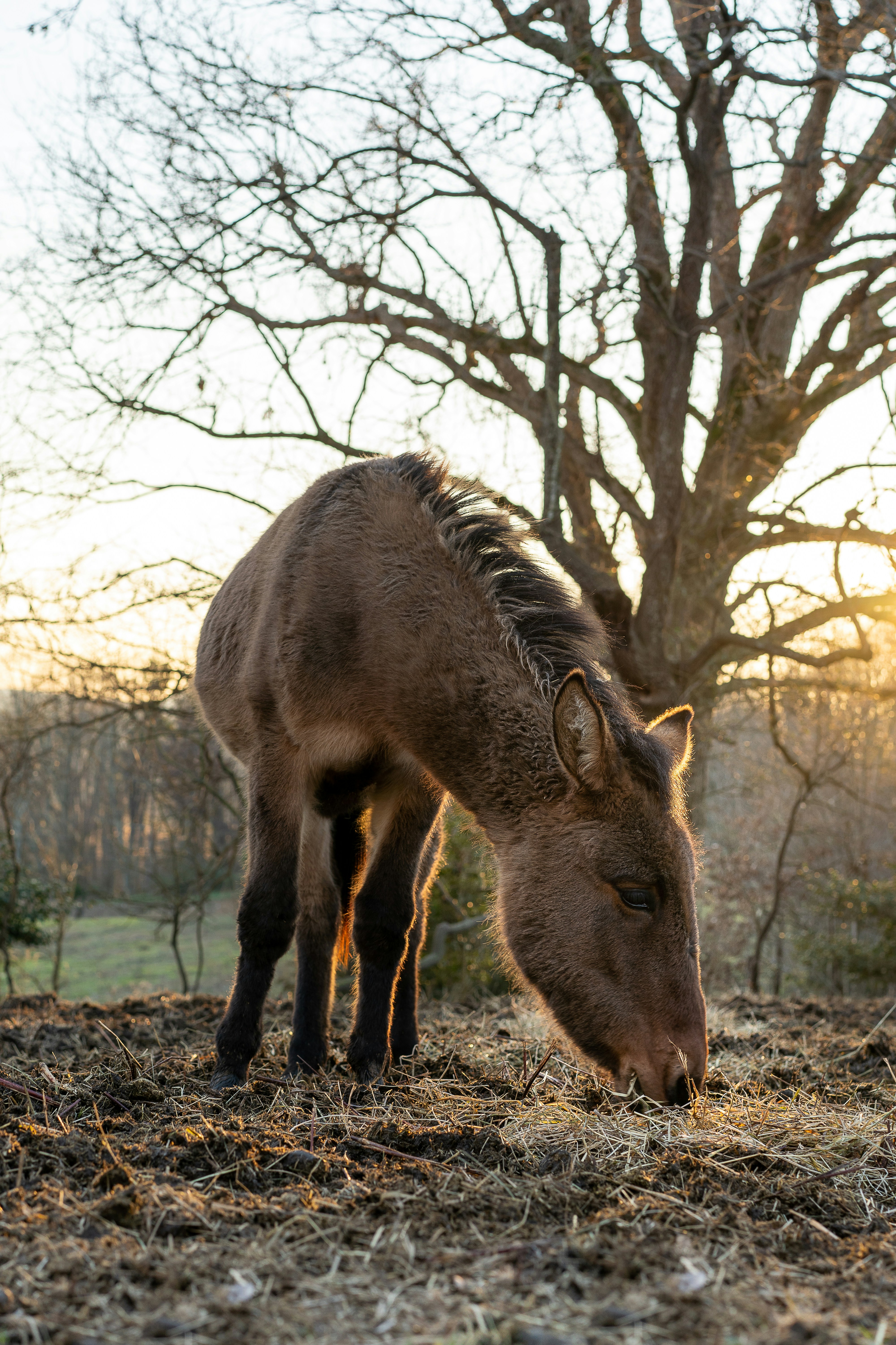 Big change to Swipe Pro