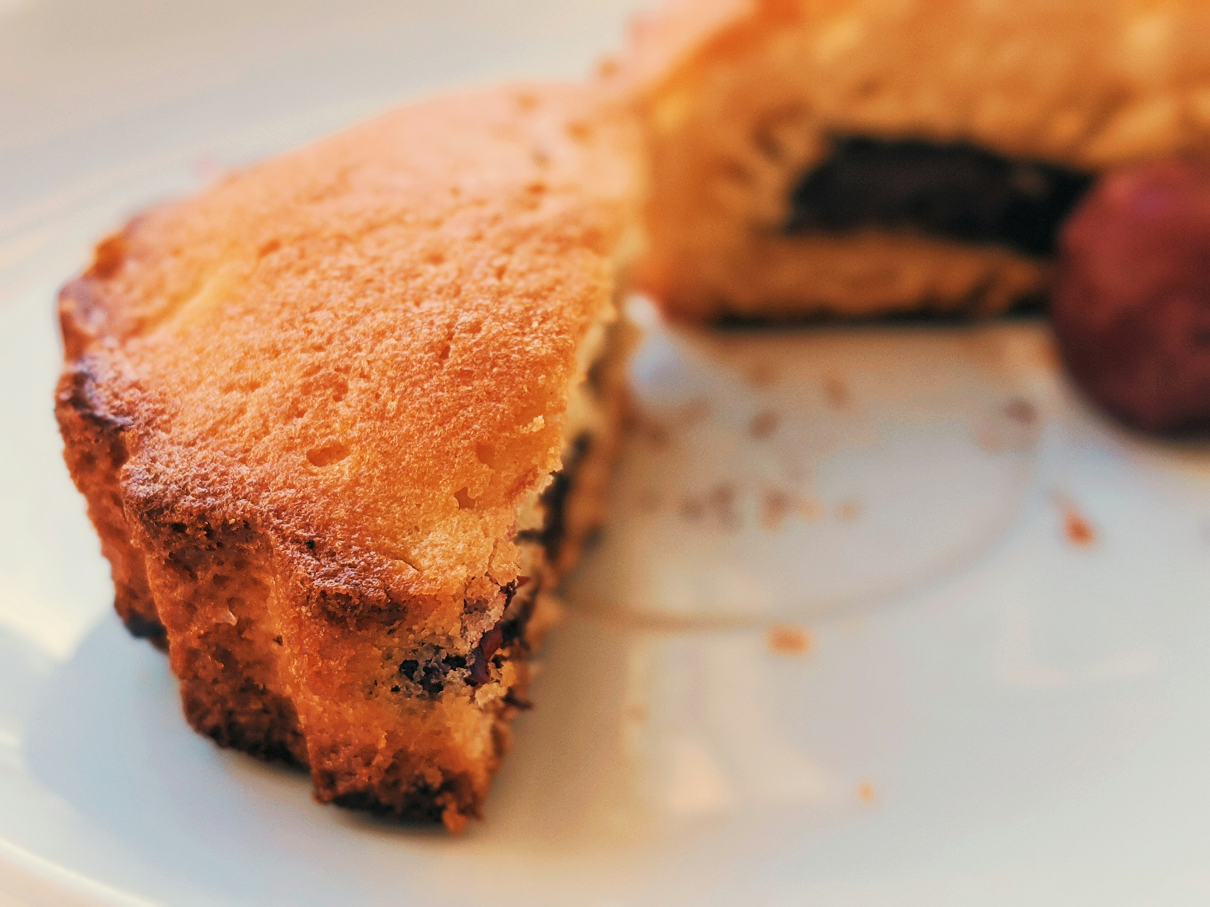 Photo by animgraphlab