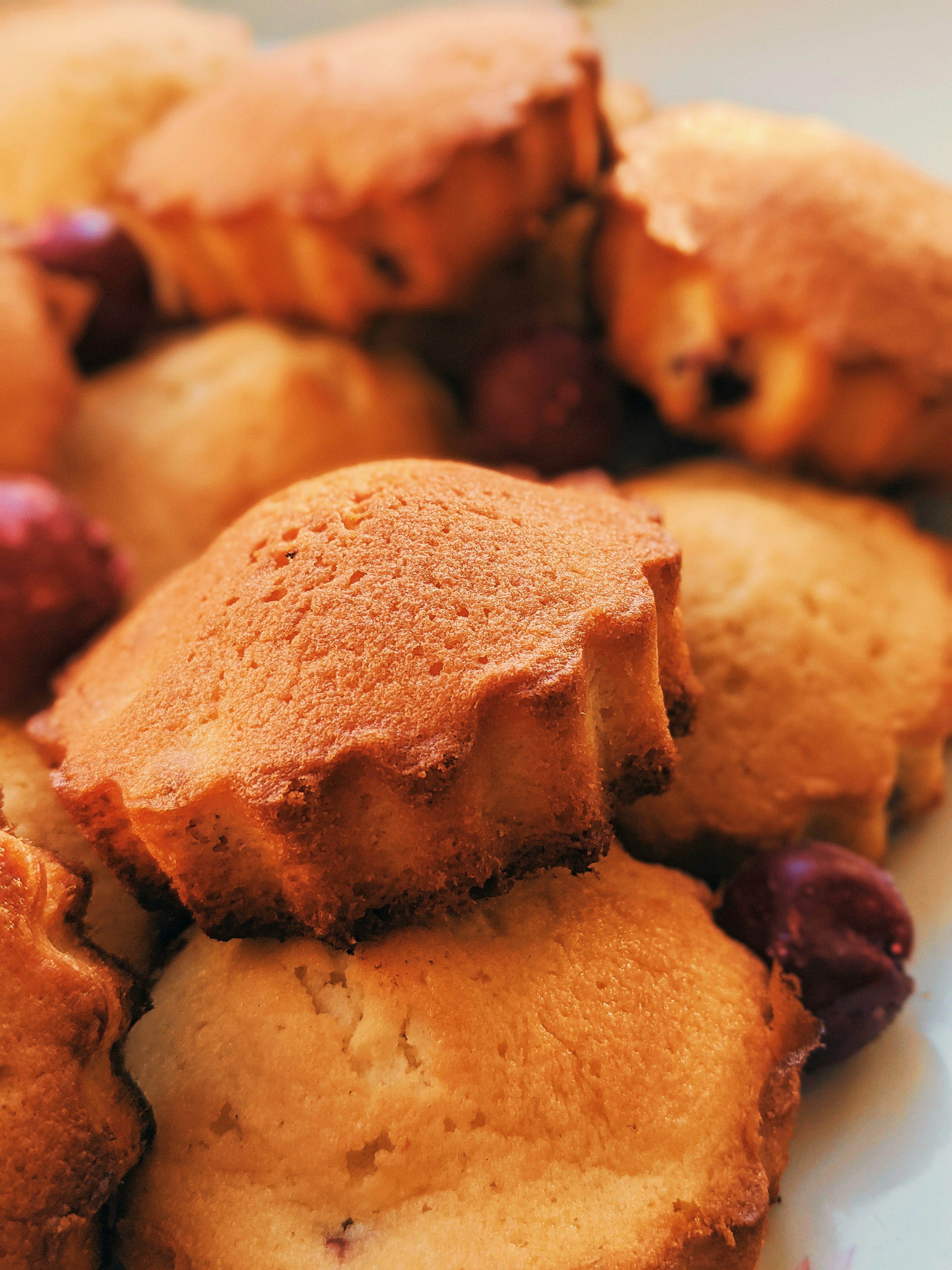 Photo by animgraphlab