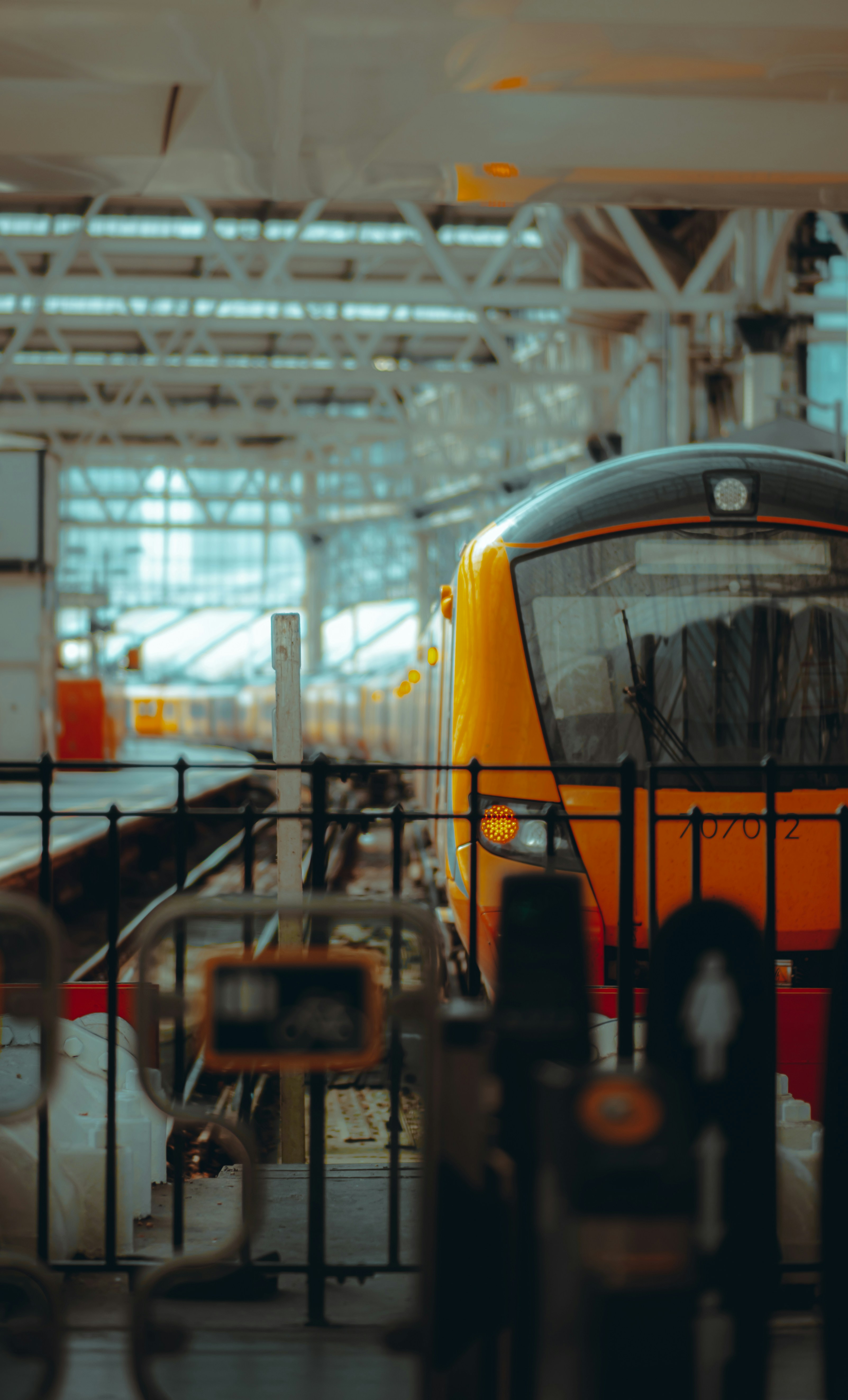 Photo by matheus_bardemaker