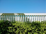 Close-up of freshly installed white picket fence with sandy beach in background.