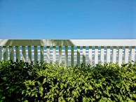 A clean white fence standing out against lush green grass, freshly cleaned and restored.