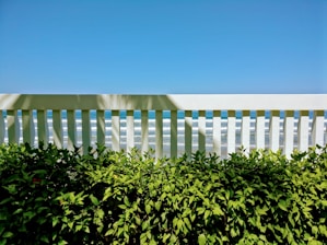 A white, wooden fence stands in front of lush, green plants with a clear blue sky and ocean waves in the background.